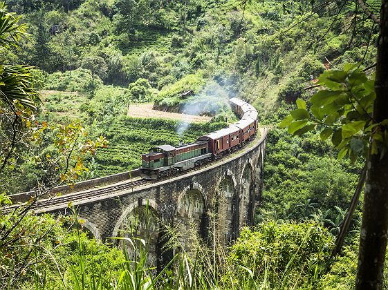 Sri Lanka - Train sur le pont des neuf arches à Ella