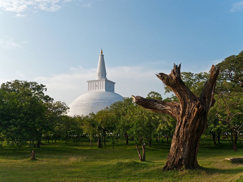 Sri Lanka - Vue sur la grande stupa Maha à Anuradhapura