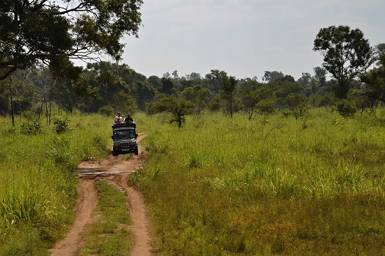 Safari au parc national de Gal Oya, Sri lanka