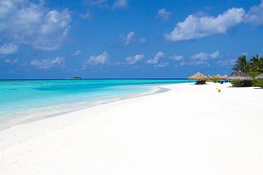 Plage tropicale - Maldives