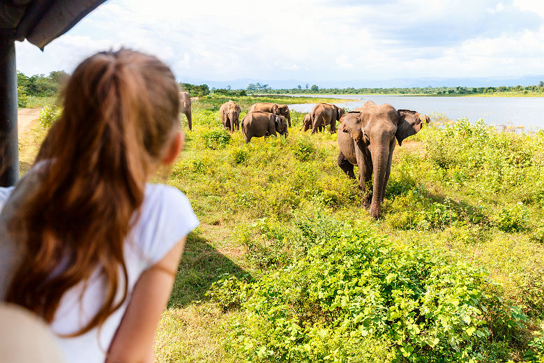 Enfant en safari au Sri Lanka