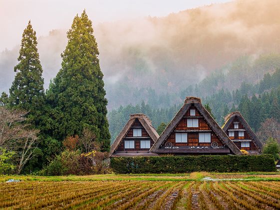 Village historique de Shirakawago - Japon