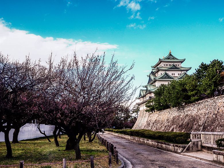 Château d'Osaka - Japon