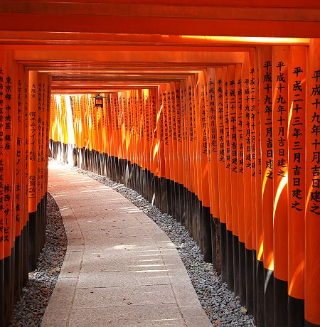 Les torii du sanctuaire Fushimi Inari-taisha - Japon