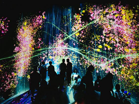 TeamLab Borderless, Tokyo