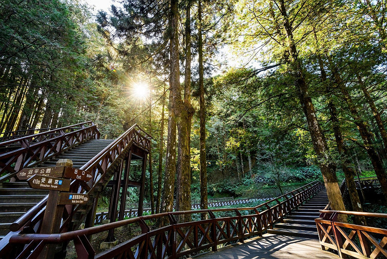 Parc National d'Alishan