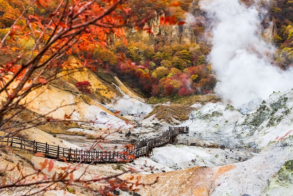 Sources chaudes de Jigokudani (Hell Valley) - Japon