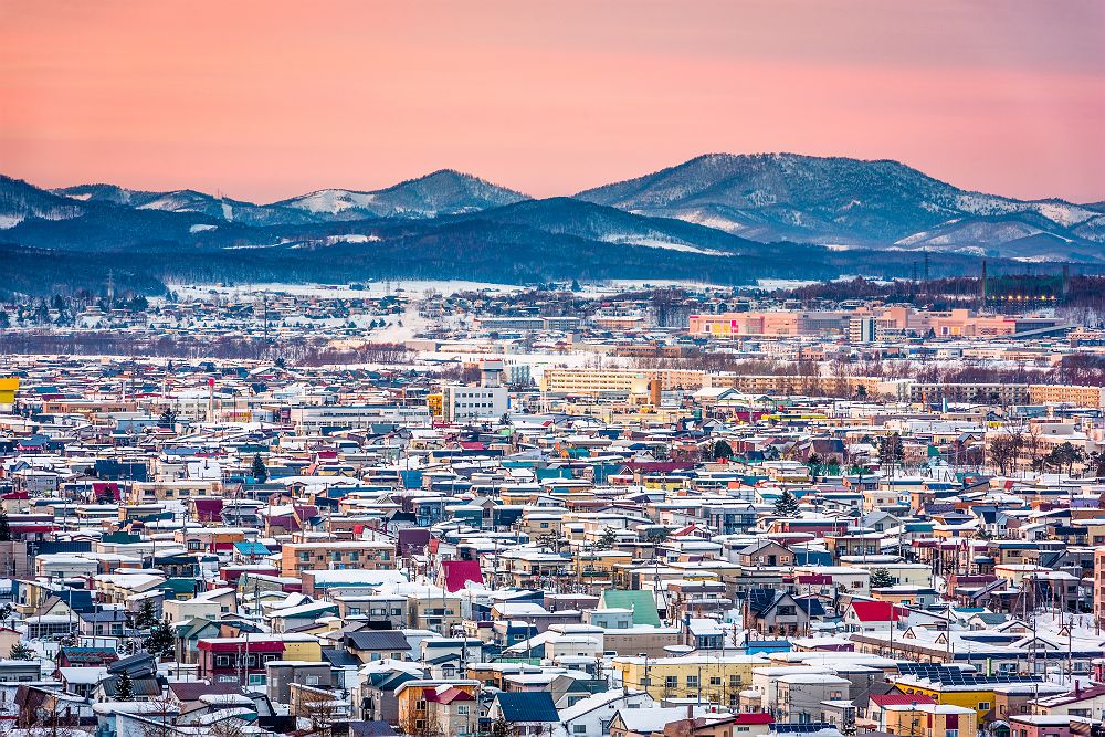 Les neiges d'Asahikawa - Japon