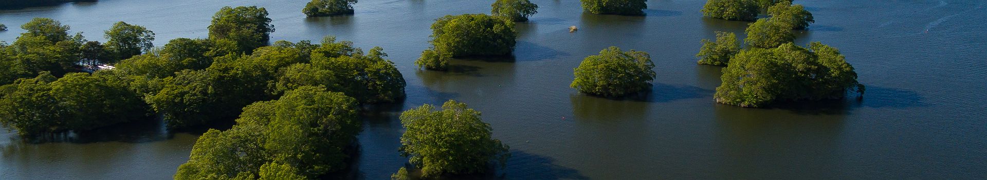 Lac Onuma - Japon