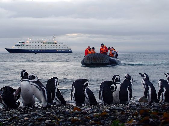 Croisière Australis - Cap Horn & Patagonie, Ile Magdalena