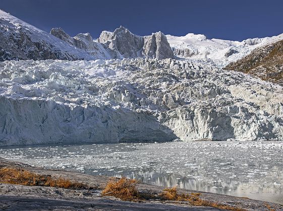 Croisière Australis - Cape Horn & Patagonie - Glacier Pia