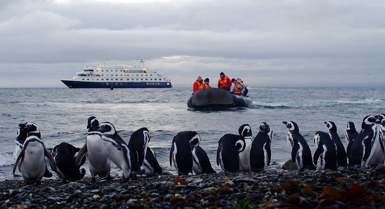 Croisière Australis - Cap Horn & Patagonie, Ile Magdalena