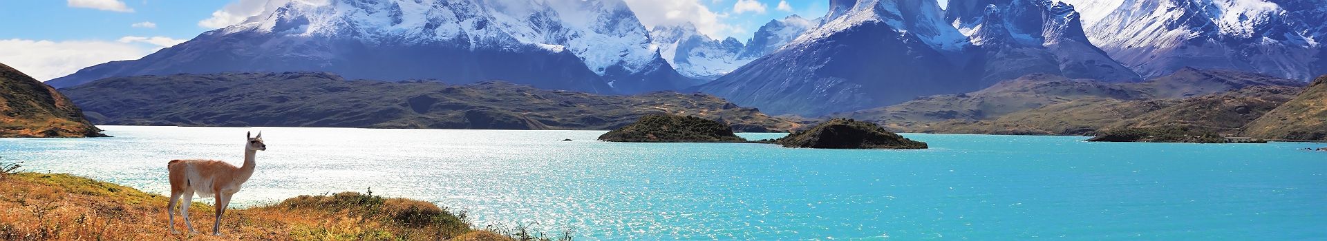 Chili - Parc National de "Torres del Paine"