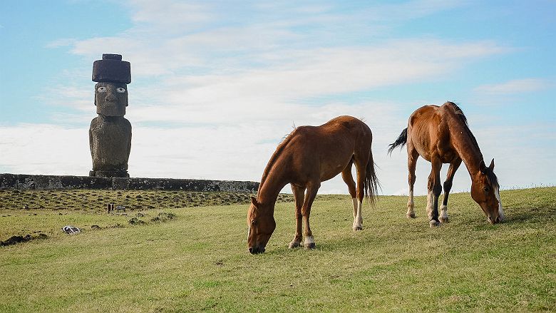 Chevaux sur l'Ïle de Pâques