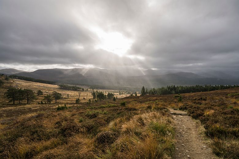 Cairngorms national park - Visit Scotland - Day 8 