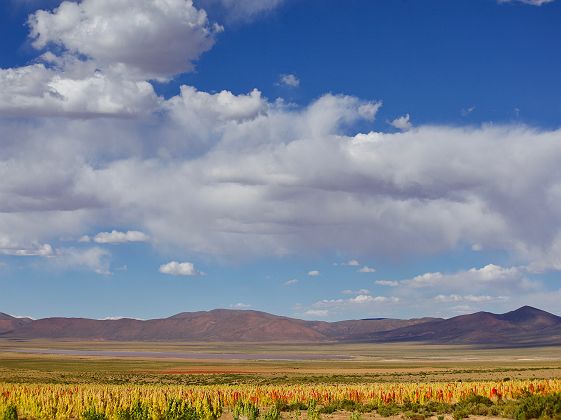 La Travesia - Explora - Chituca