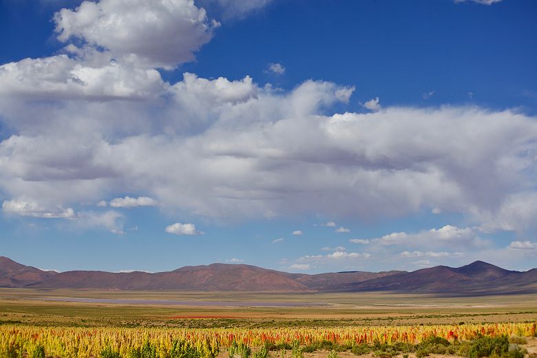 La Travesia - Explora - Chituca