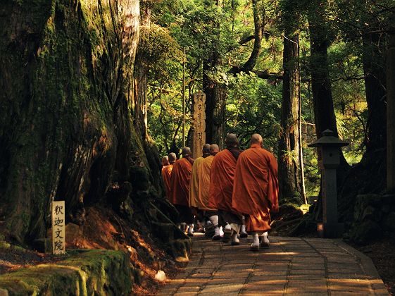 Moines marchant dans la forêt sur le mont Koya