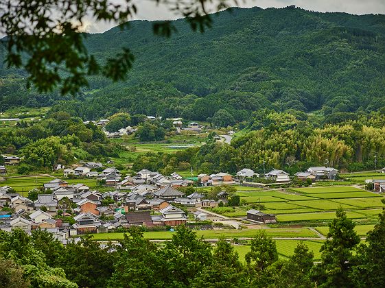 Village d'Asuka | Shoko Takayasu © SHOKO Photography 2023