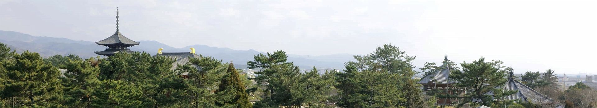 Vue sur Nara