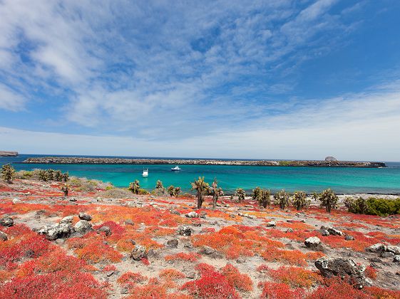 Iles Galapagos - Equateur