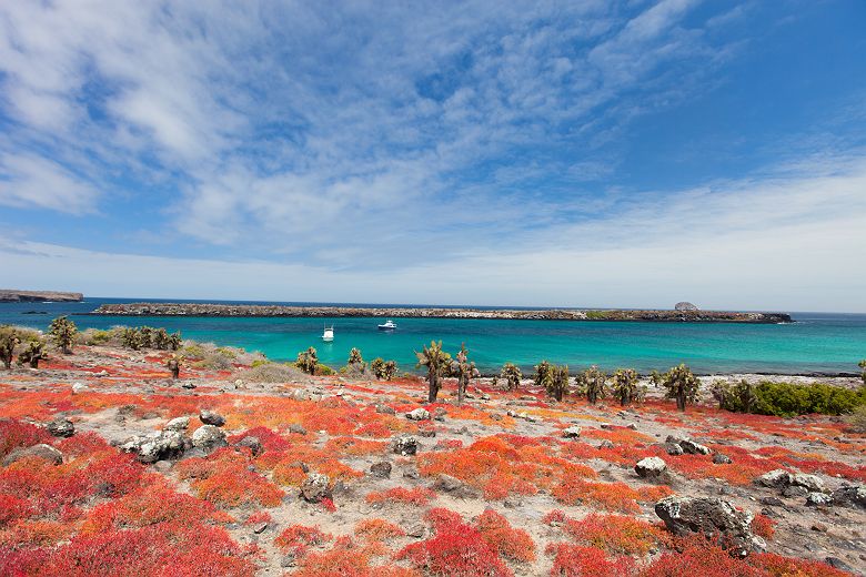 Iles Galapagos - Equateur