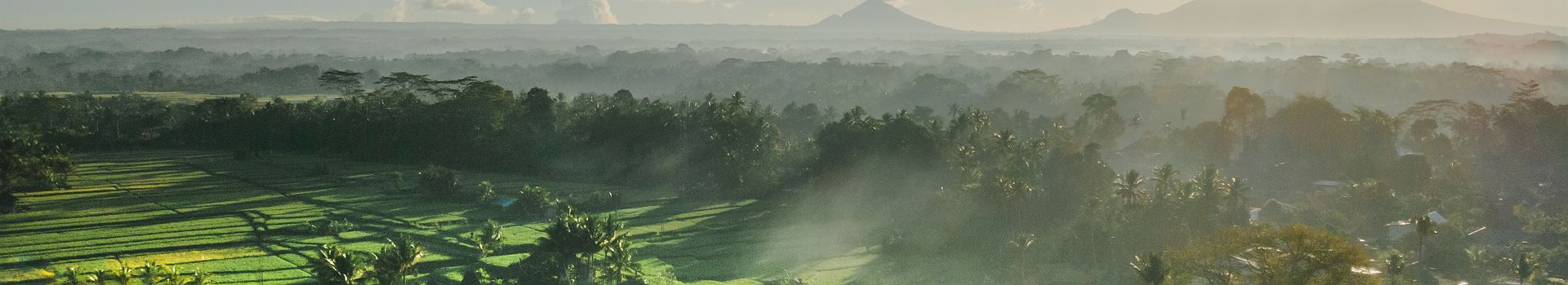 Kappa Senses Ubud