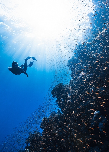 Snorkeling en Arabie