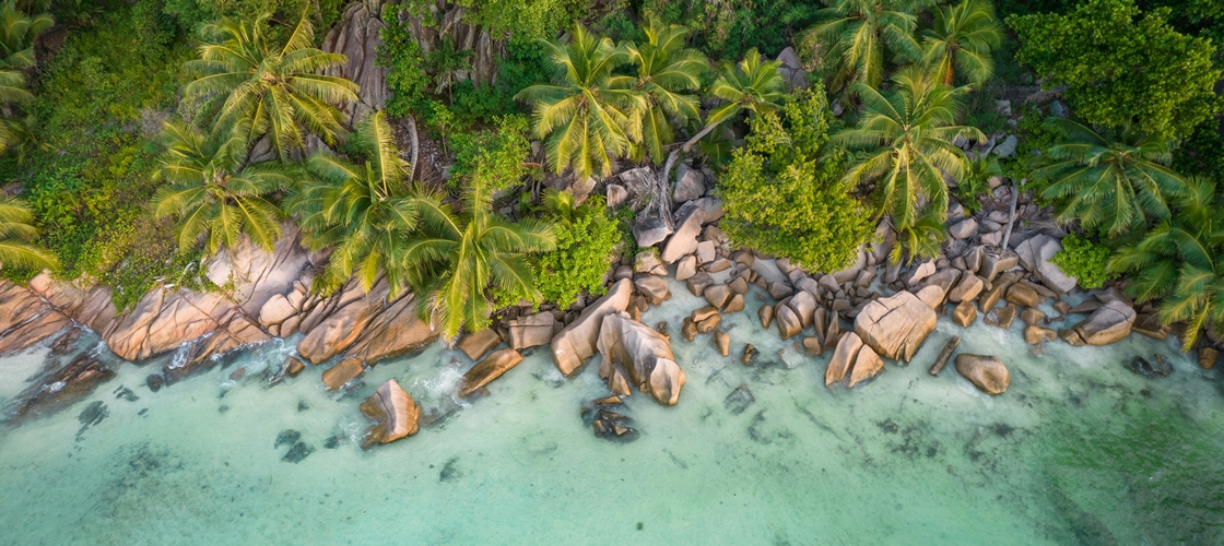 Plage granitique des Seychelles