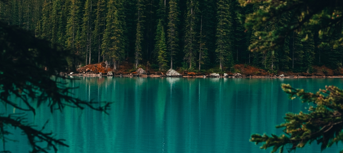 Lac et forêt au Canada