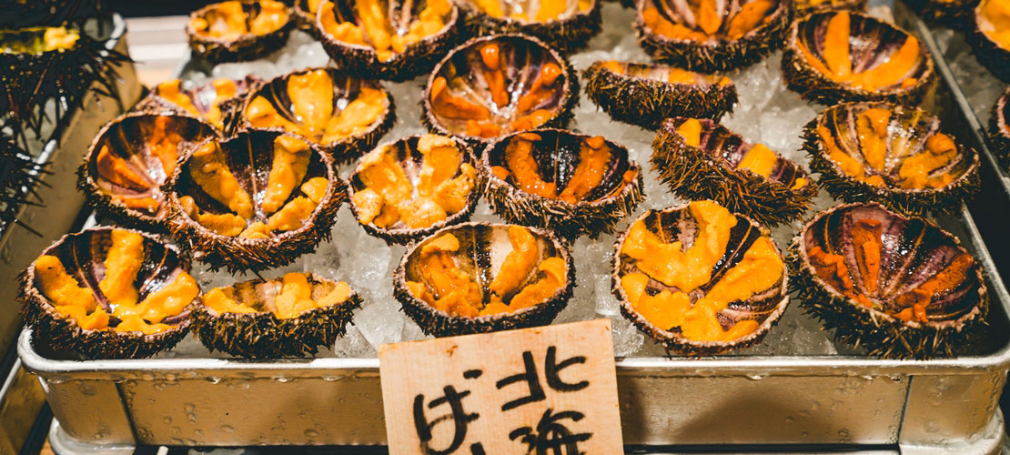 Oursins sur un marché au Japon
