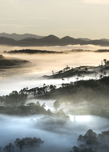 Paysages brumeux au Vietnam 