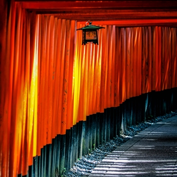 Torii au Fushimi Inari-taisha de Kyoto
