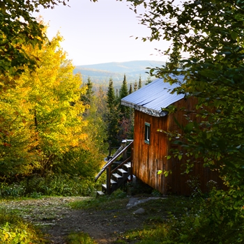 Cabane au Canada