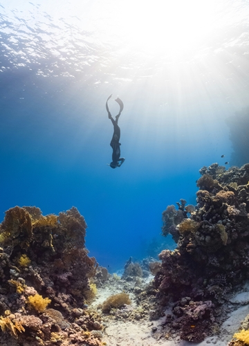 Snorkeling en Arabie