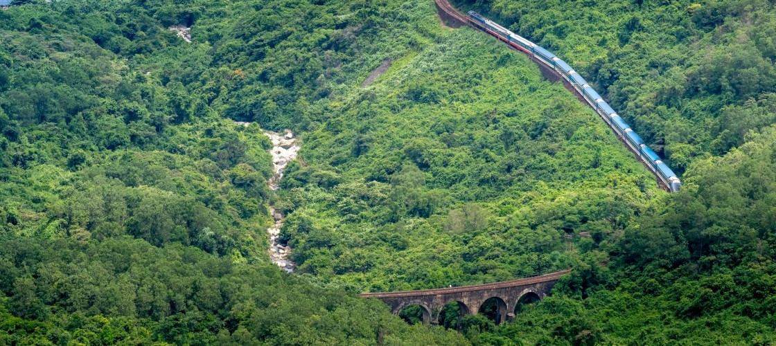 Un train traversant la jungle