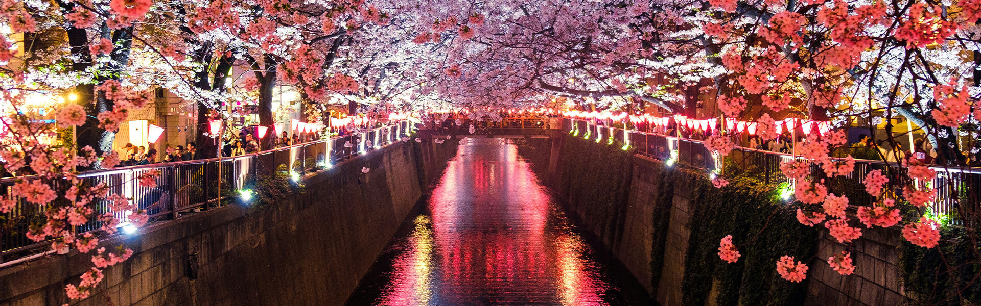 carrousel japon sakuras meguro river