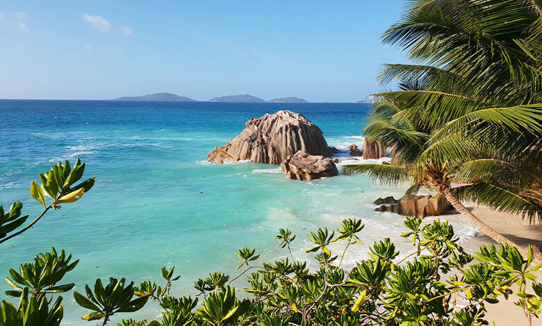 carrousel seychelles anse